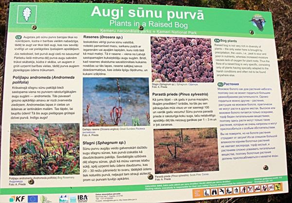 163-Национальныи парк Кемери